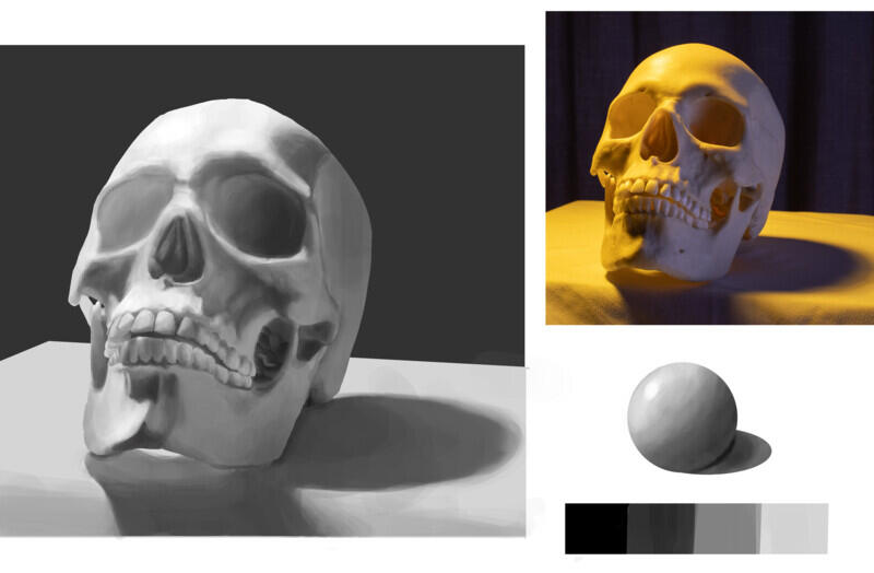 Skull Lighting Study